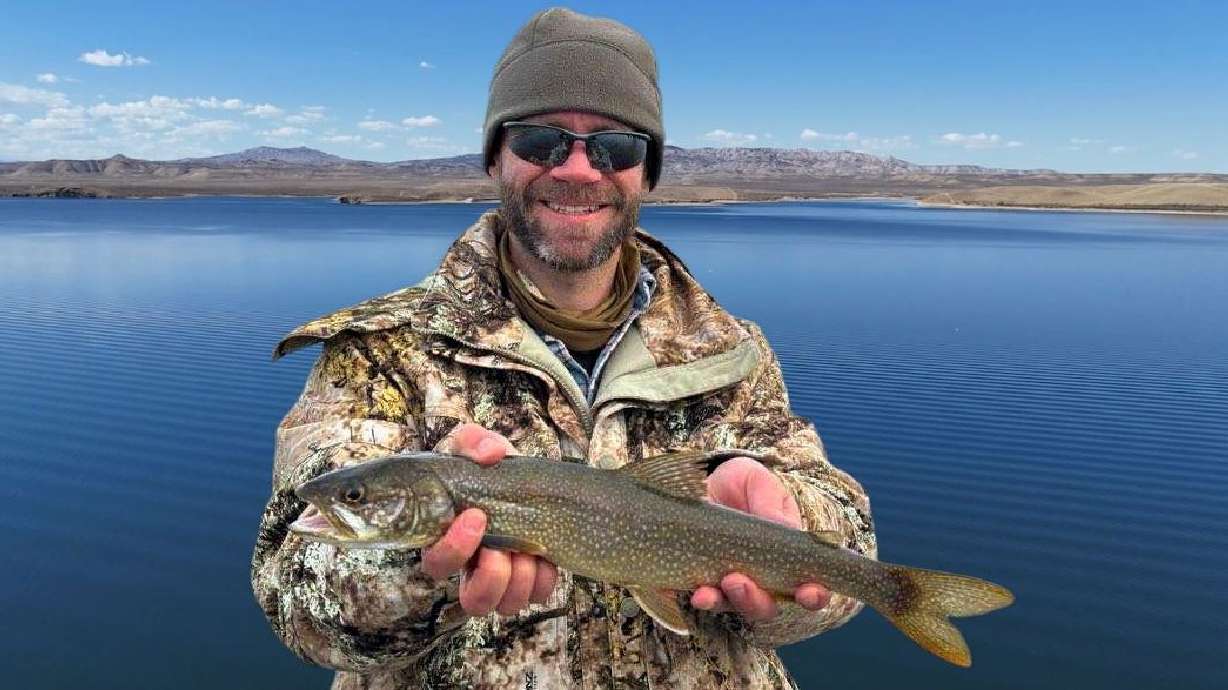 Catch Flaming Gorge Laker Pups, Win Cash!