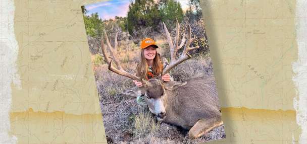 Snapshot of the Week: November 22, 2025