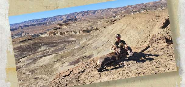 Snapshot of the Week: December 20, 2025