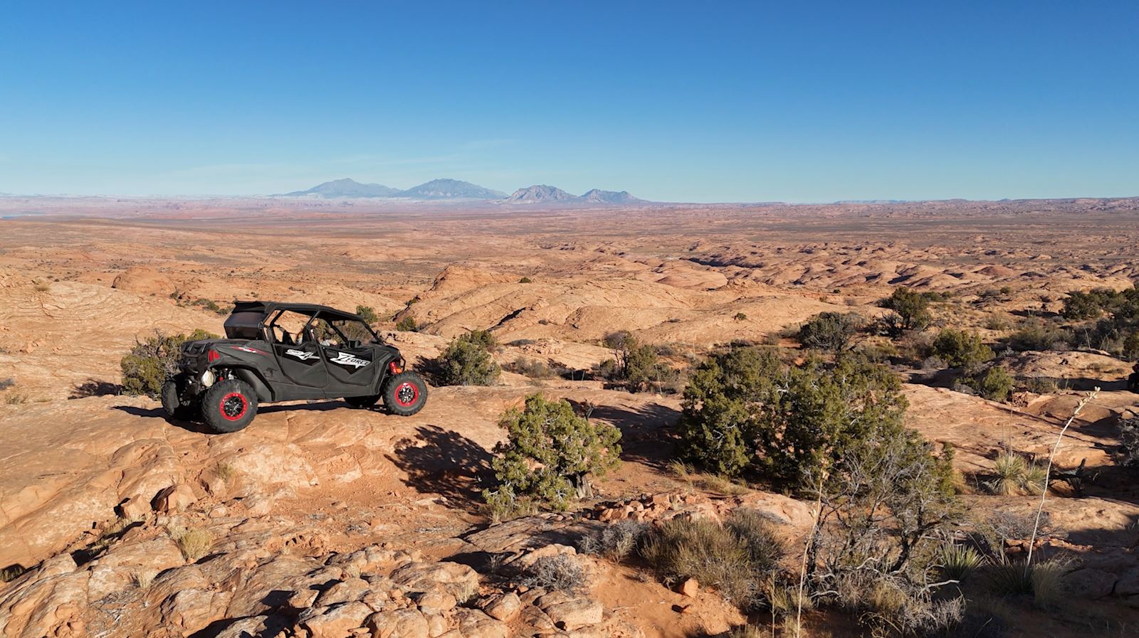 Best of 2025 | Our Favorite Stories of the Year