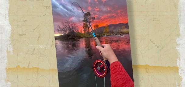 Snapshot of the Week: January 3, 2026