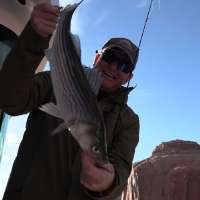 Striper Fishing Frenzy at Lake Powell with Uplake Adventures