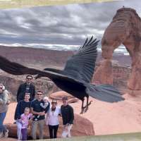 Snapshot of the Week: January 31, 2026