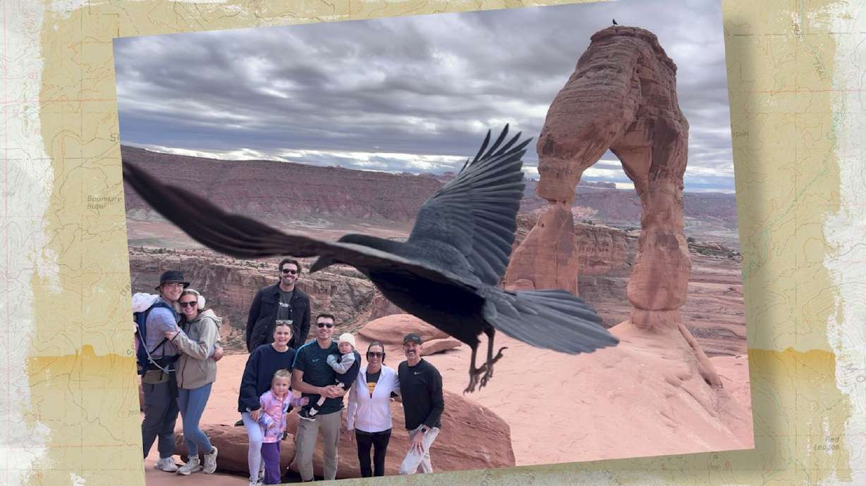 Snapshot of the Week: January 31, 2026