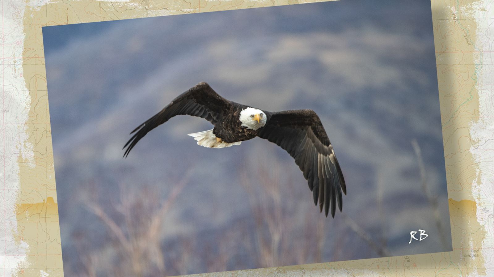 Snapshot of the Week: February 28, 2026