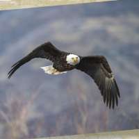 Snapshot of the Week: February 28, 2026