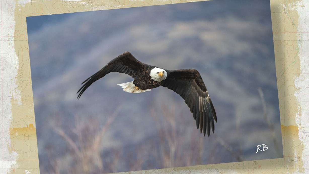 Snapshot of the Week: February 28, 2026