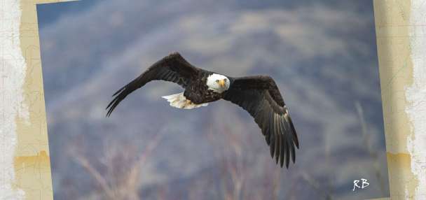 Snapshot of the Week: February 28, 2026