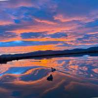 Snapshot of the Week: March 7, 2026