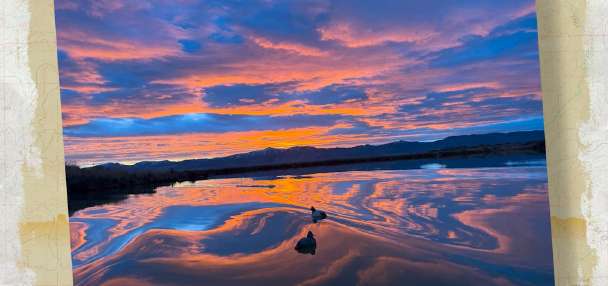 Snapshot of the Week: March 7, 2026