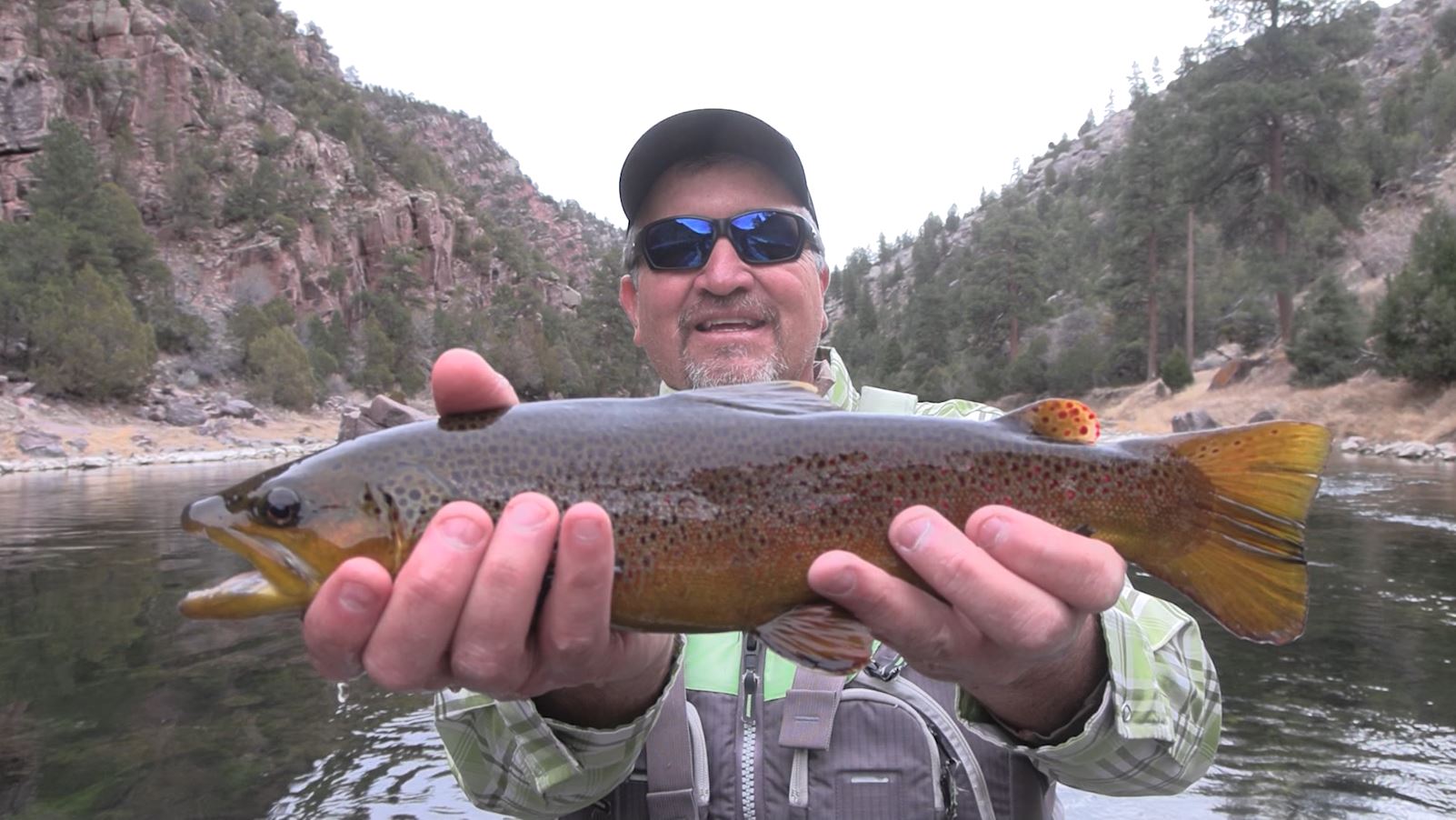 15,000 Trout Per Mile: Fly Fishing The Green River | Big Trout, River Health, and Changing Water Flows