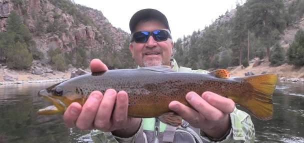 15,000 Trout Per Mile: Fly Fishing The Green River | Big Trout, River Health, and Changing Water Flows