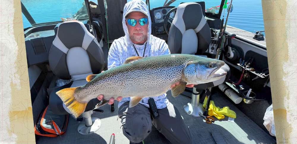 Snapshot of the Week: April 4, 2026