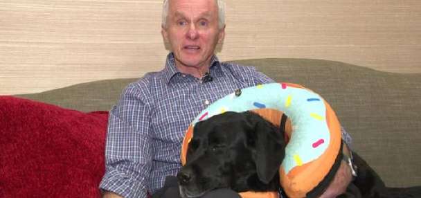 DPW workers save man and his dog from Rottweiler attack: 'They were true heroes'