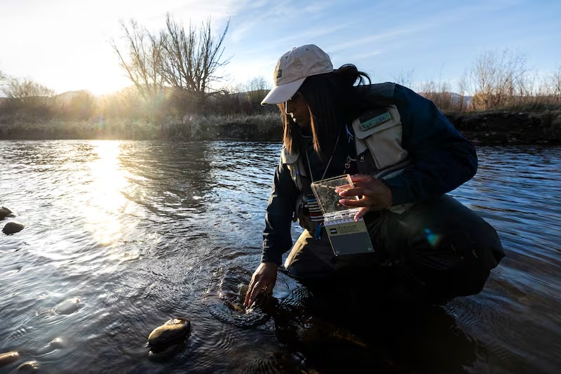 Rebeca Granillo, a fly-fishing instructor from Millcreek, checks for aquatic insects under rocks in the Provo River before fishing near Charleston on Wednesday.