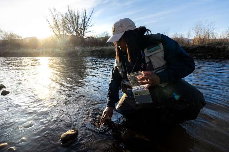 Rebeca Granillo, a fly-fishing instructor from Millcreek, checks for aquatic insects under rocks in the Provo River before fishing near Charleston on Wednesday.