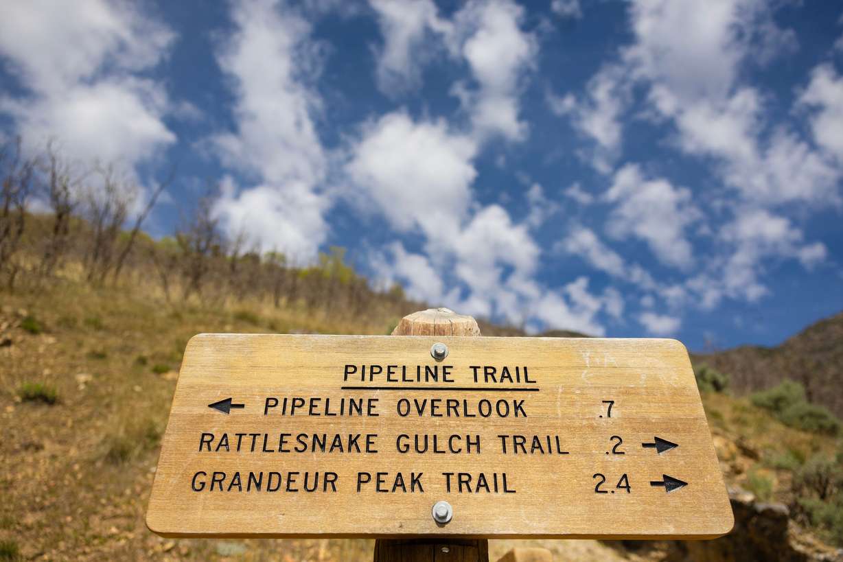 Millcreek Canyon in the Wasatch National Forest is pictured in Salt Lake City on Wednesday. The Department of Agriculture sought to address concerns over its relocation of the U.S. Forest Service to Salt Lake City on Thursday.