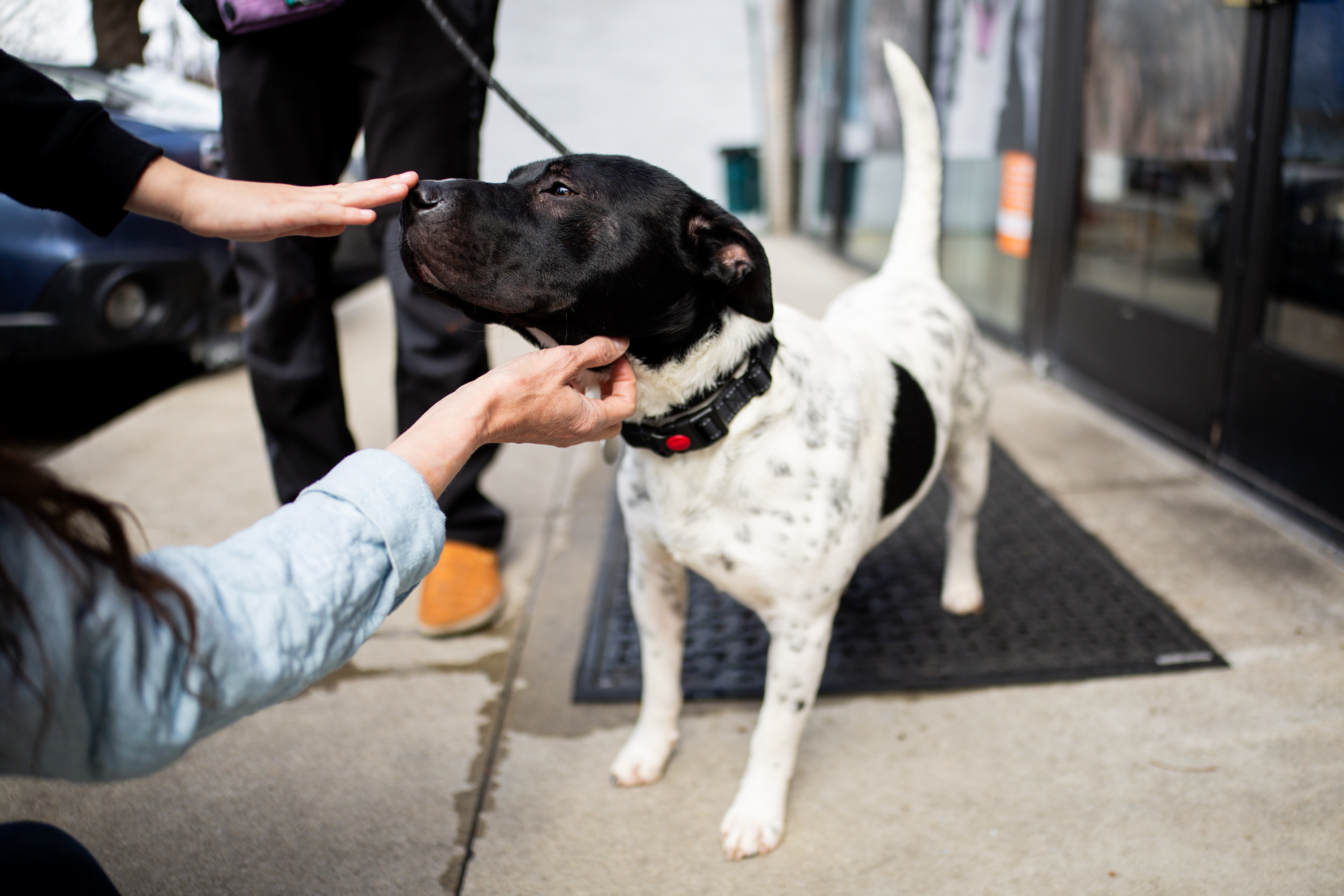 Good Deeds Day: What you can do to give back