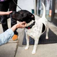 Good Deeds Day: What you can do to give back