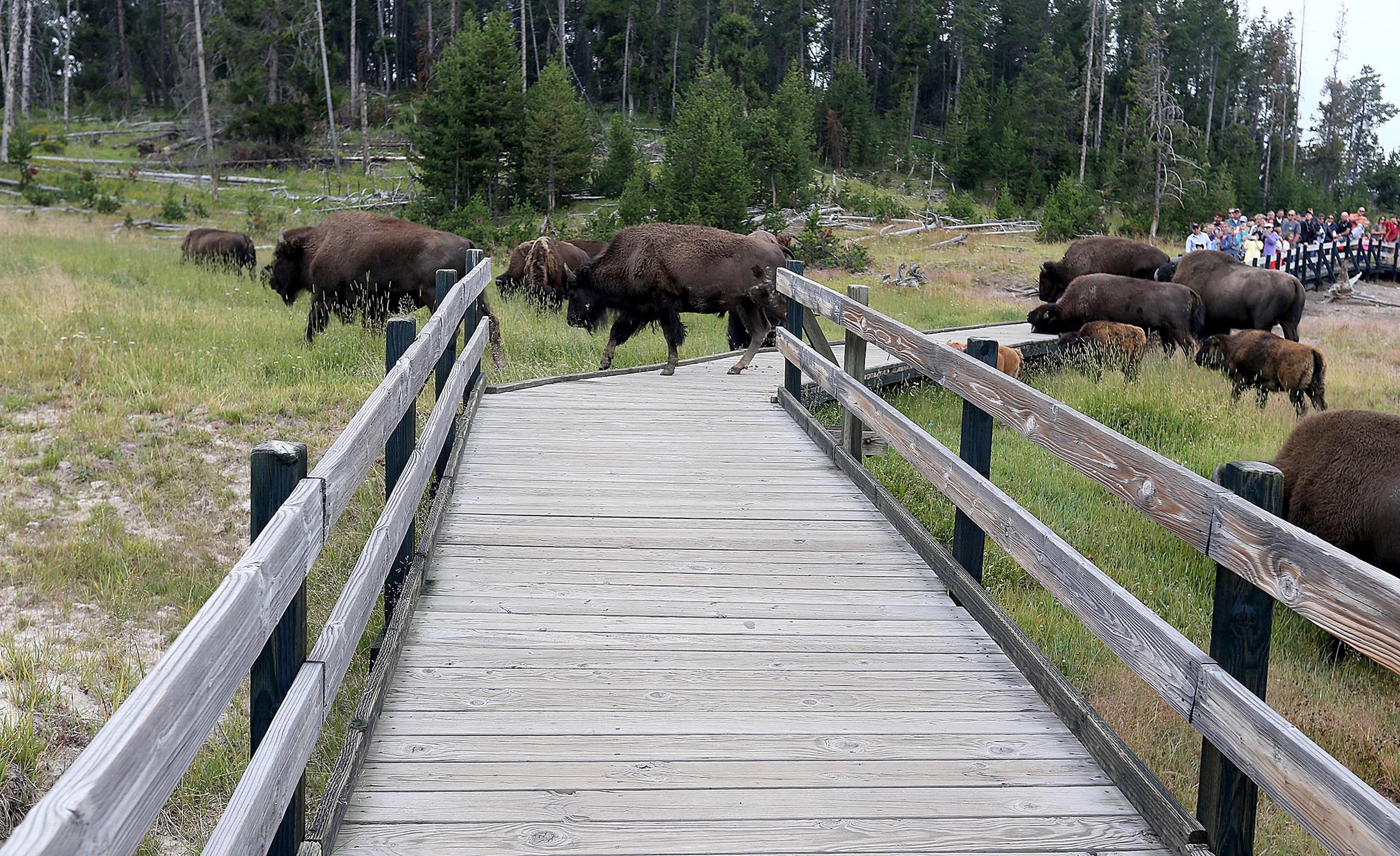 What Trump's proposed budget would mean for public lands in Utah and beyond
