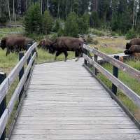 What Trump's proposed budget would mean for public lands in Utah and beyond