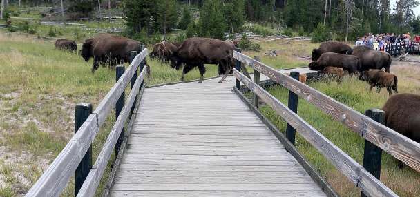What Trump's proposed budget would mean for public lands in Utah and beyond