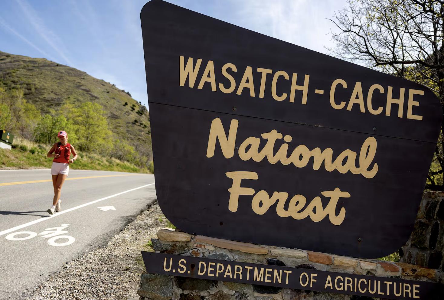Millcreek Canyon in the Wasatch National Forest is pictured in Salt Lake City on Wednesday. The U.S. Forest Service is relocating its headquarters to Salt Lake City, citing the move as a "sweeping restructuring" of the agency, the U.S. Department of Agriculture said.