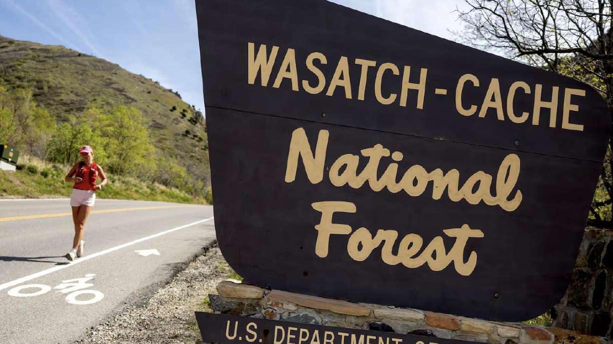 The U.S. Forest Service said it plans to begin carrying out prescribed fires in the canyon and two other nearby canyons on Sunday.