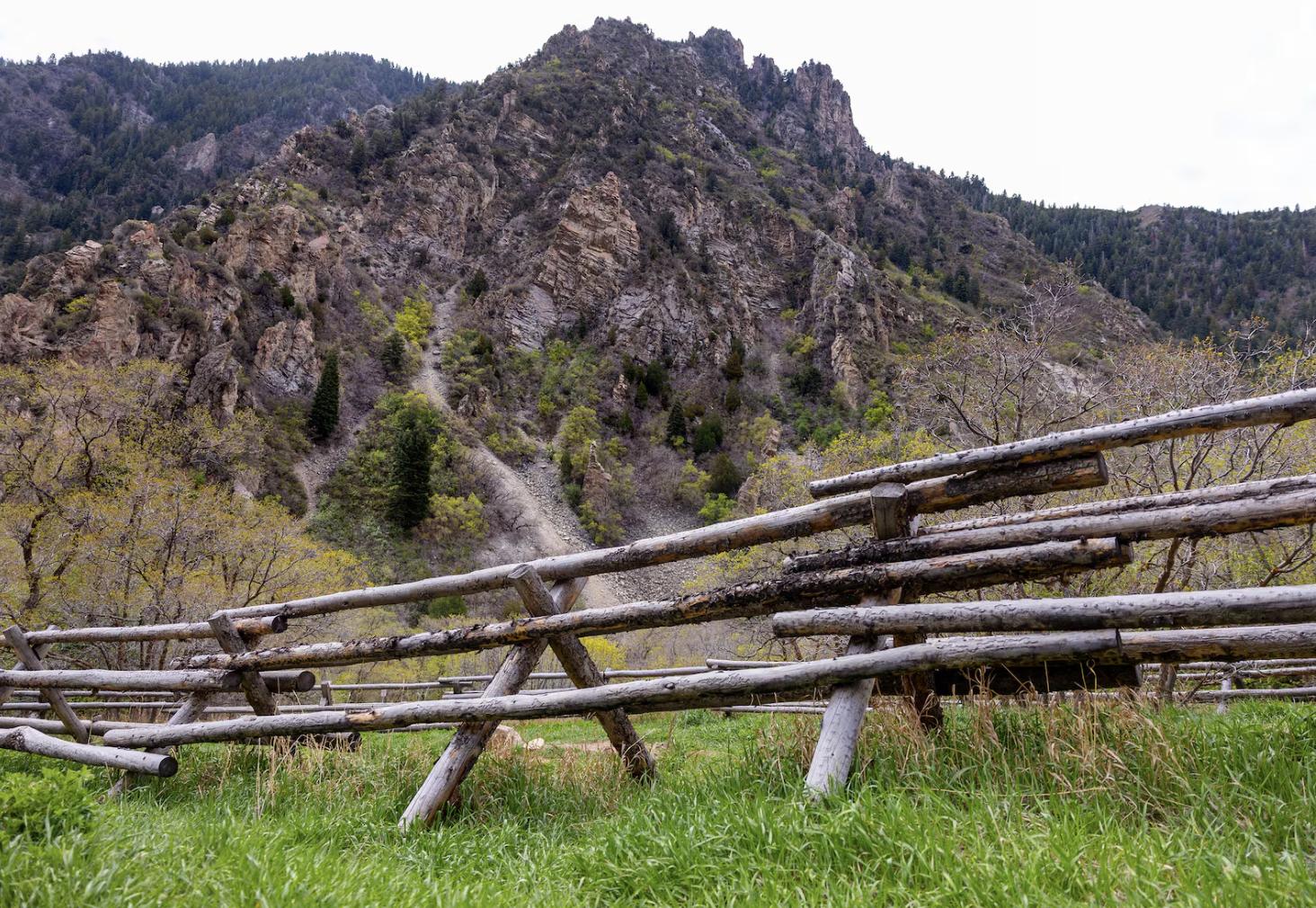 Millcreek Canyon in the Wasatch National Forest is pictured in Salt Lake City on Wednesday. The U.S. Forest Service is relocating its headquarters to Salt Lake City, citing the move as a "sweeping restructuring" of the agency, the U.S. Department of Agriculture said.