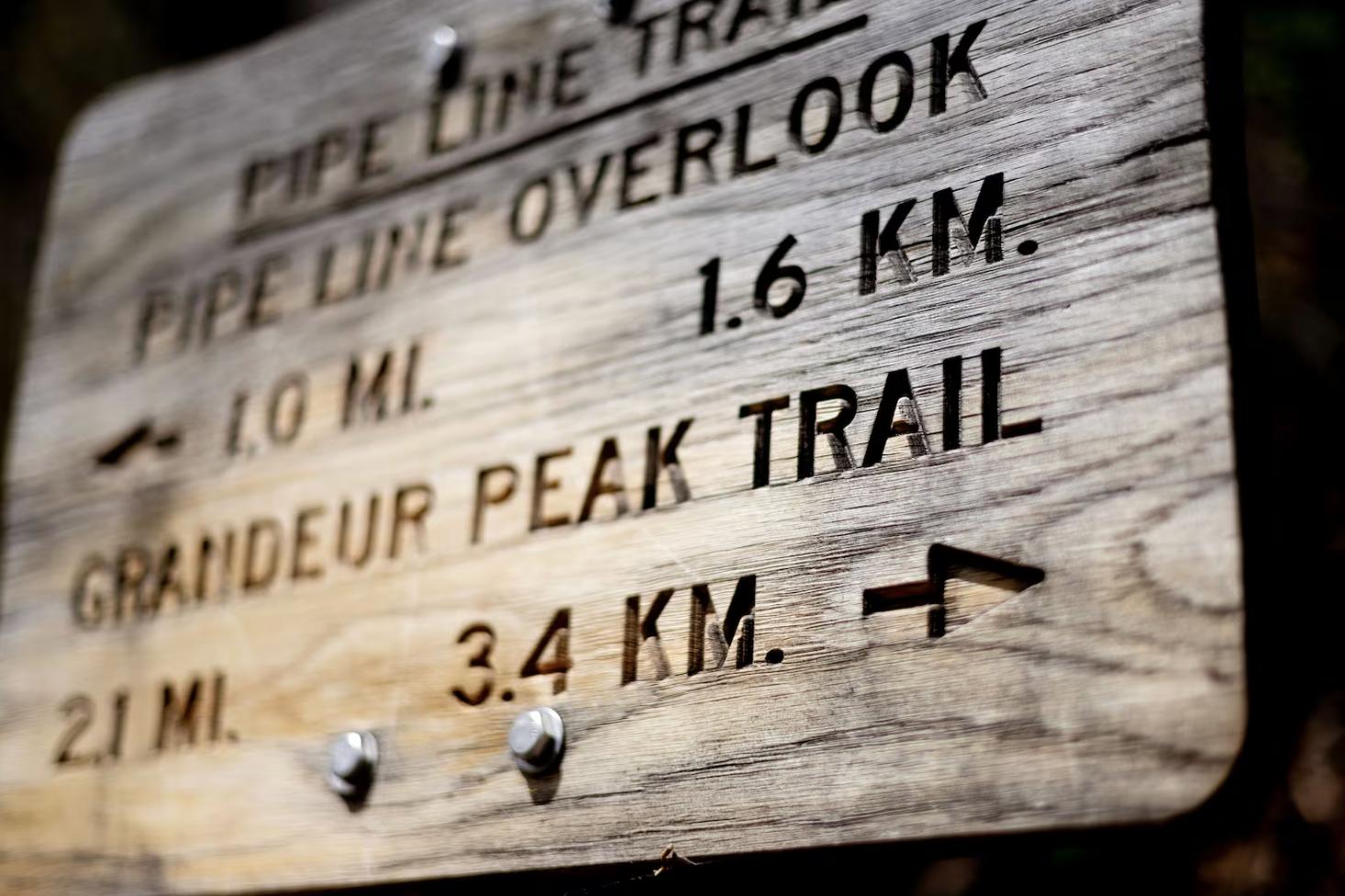Millcreek Canyon in the Wasatch National Forest is pictured in Salt Lake City on Wednesday. The U.S. Forest Service is relocating its headquarters to Salt Lake City, citing the move as a "sweeping restructuring" of the agency, the U.S. Department of Agriculture said.