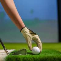 From backyard to birdie: How indoor golf simulators are revolutionizing the game for homeowners