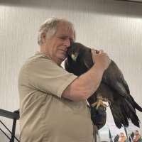 'It's my life's work': Enoch falconer reflects on 20-year relationship with golden eagle 'Scout'
