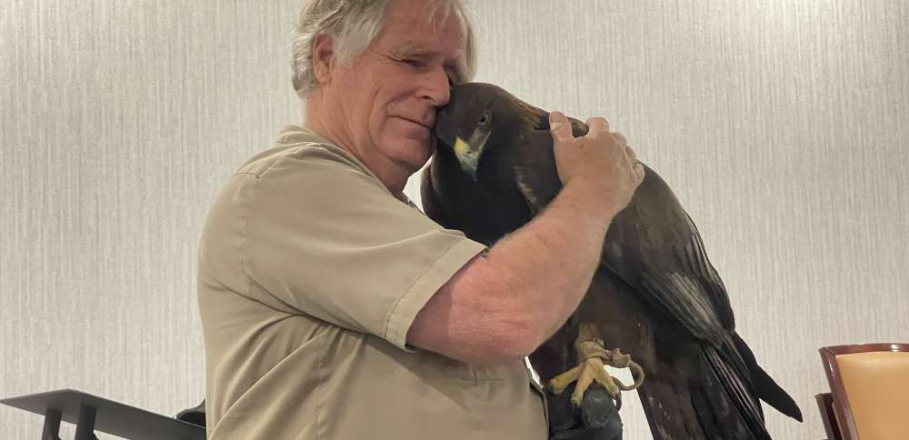 'It's my life's work': Enoch falconer reflects on 20-year relationship with golden eagle 'Scout'
