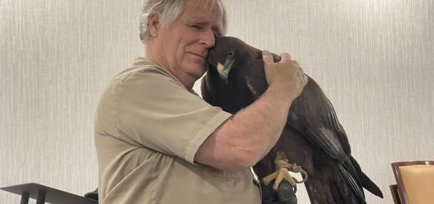 'It's my life's work': Enoch falconer reflects on 20-year relationship with golden eagle 'Scout'