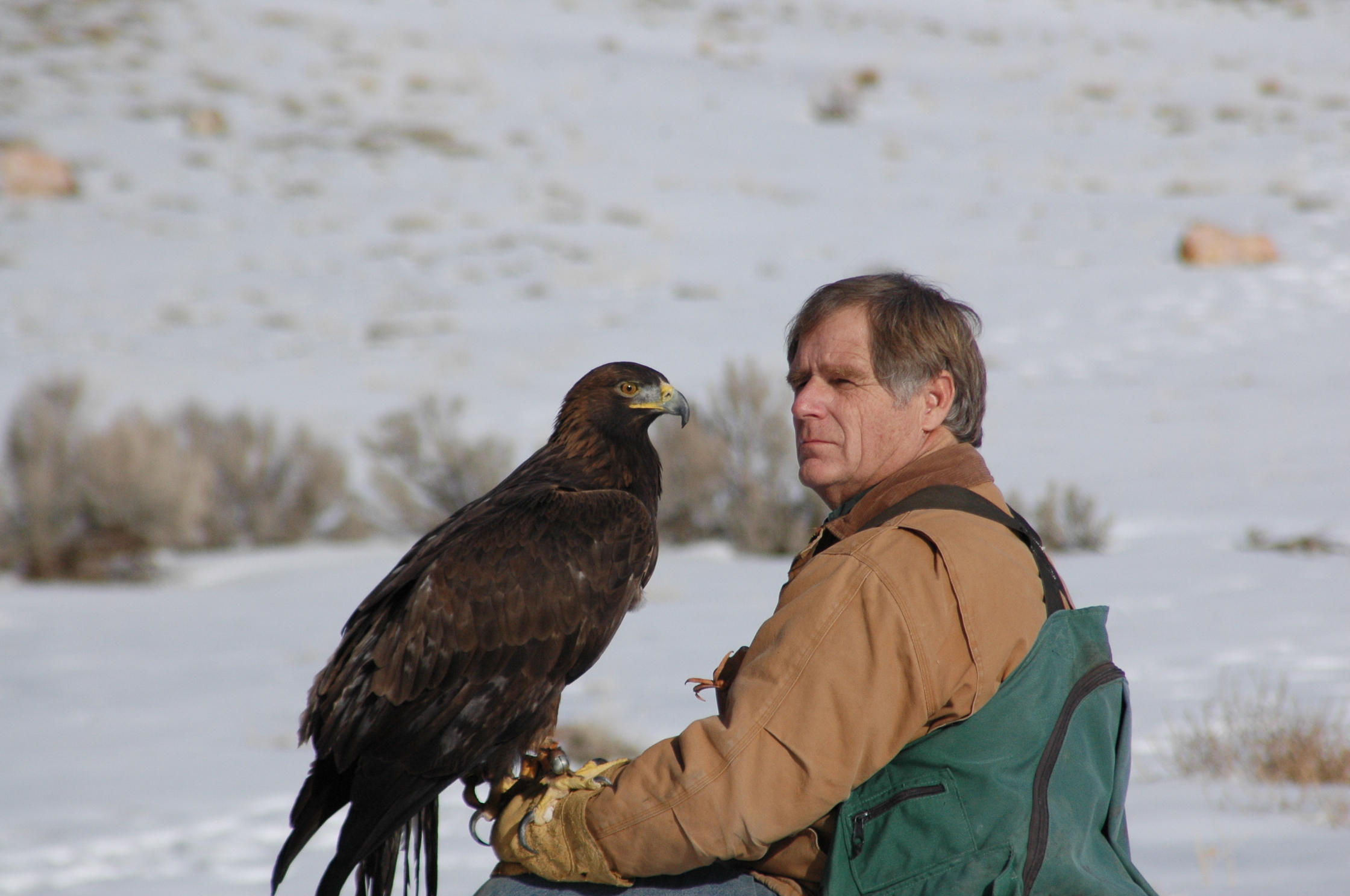 Martin Tyner with Scout in Enoch, southern Utah. He has spent his entire life rescuing and rehabilitating wild animals.