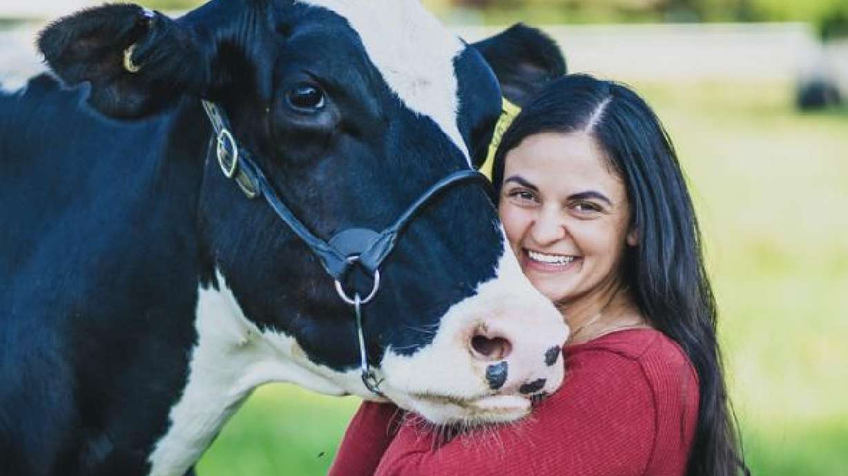 The heart of dairy: How farmers care for animals, land and future generations