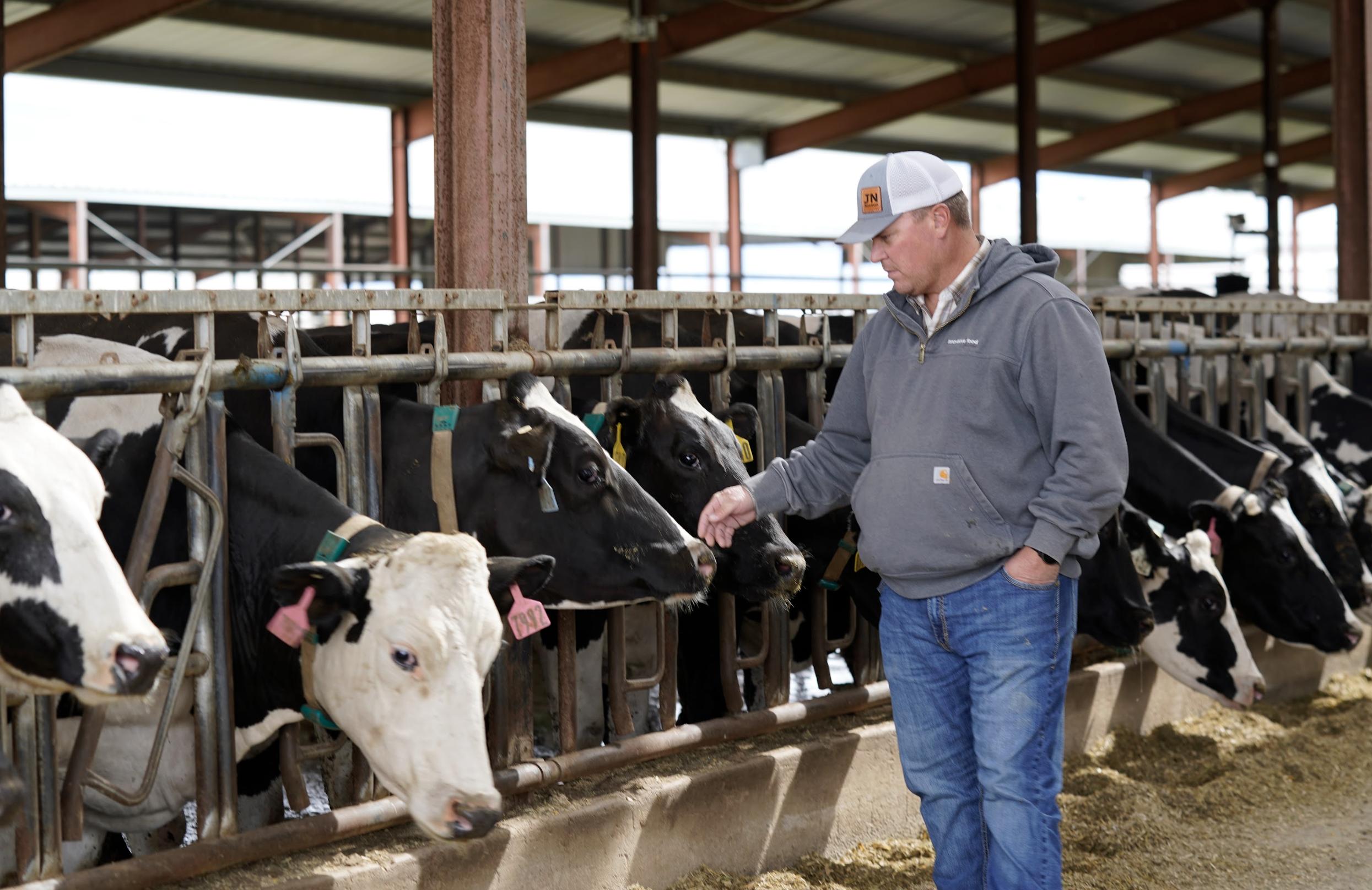 The heart of dairy: How farmers care for animals, land and future generations