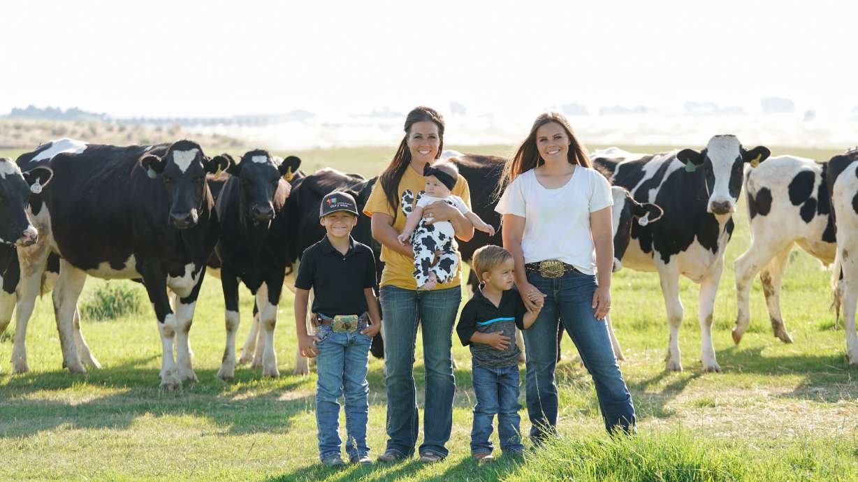 The heart of dairy: How farmers care for animals, land and future generations