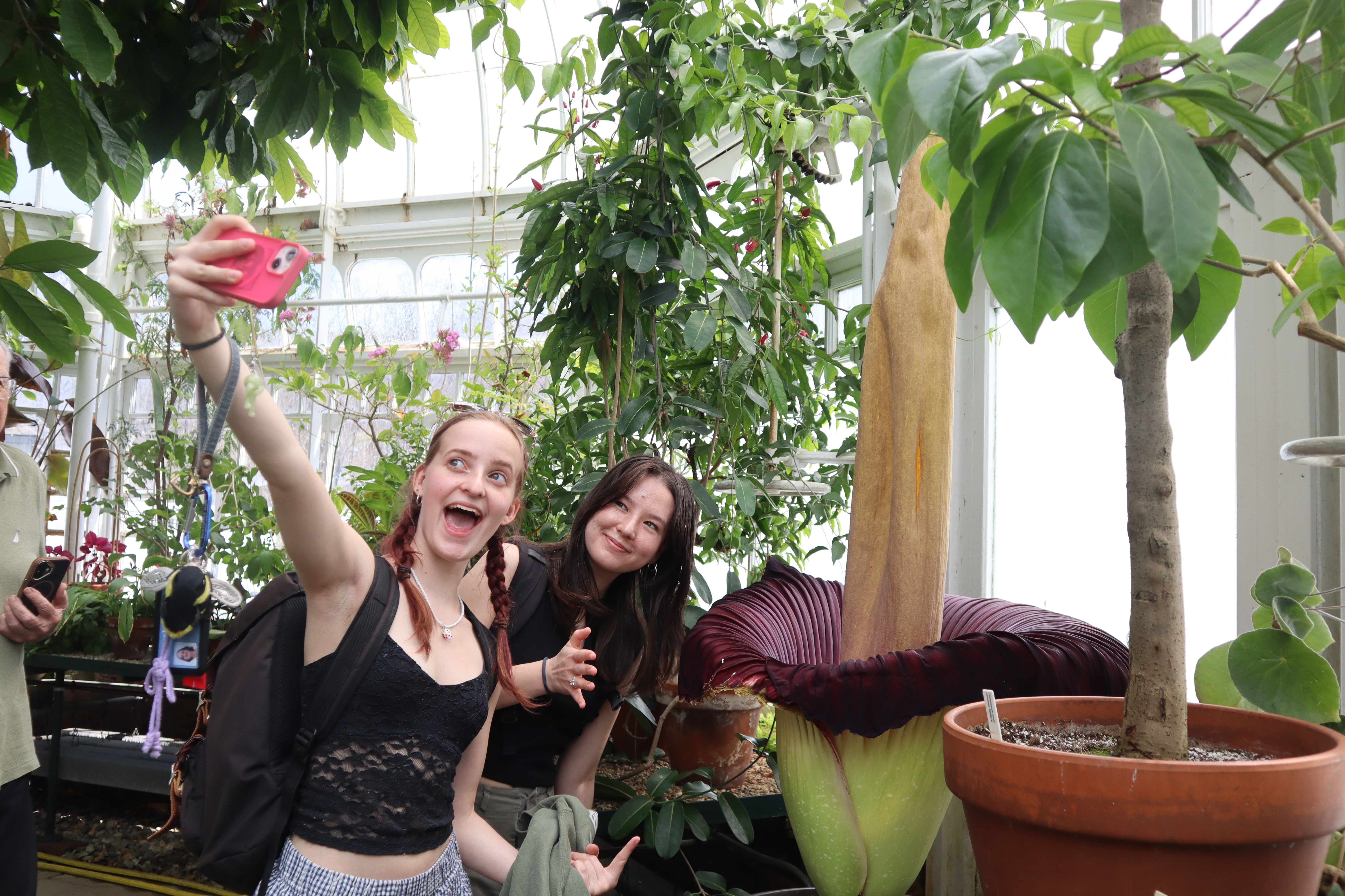 Students take a selfie with the blooming corpse flower known as "Pangy" at the Talcott Greenhouse on the campus of Mount Holyoke College in South Hadley, Mass., Tuesday. More crowds gathered on Wednesday to see — and smell — the infamous flower.