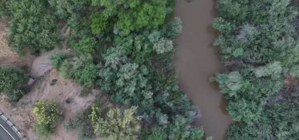 Top U.S. story anchor