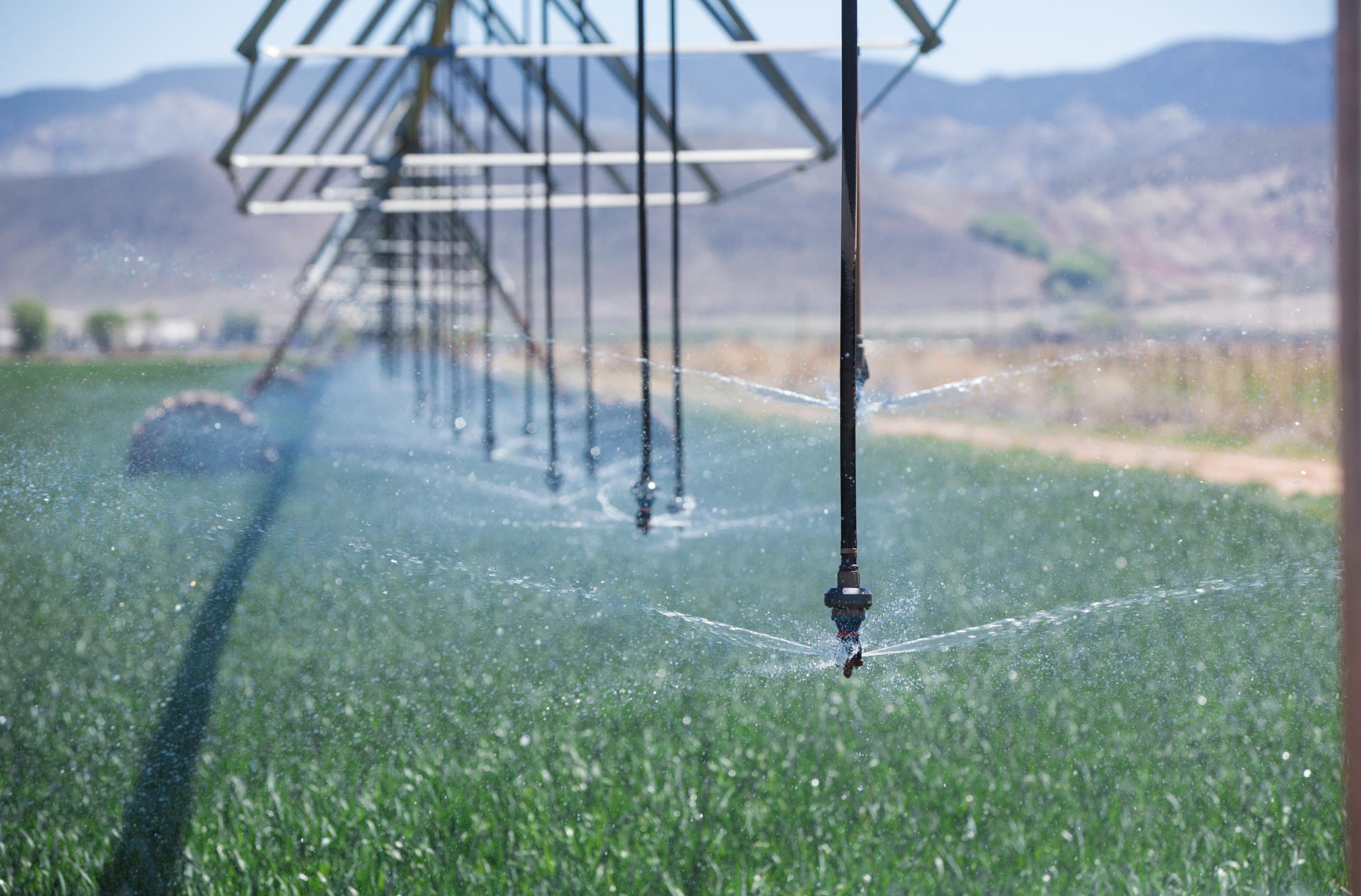 Saving every drop: Inside a dairy farm's approach to water use
