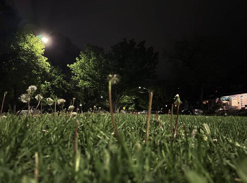 State urges Utahns to avoid watering until May, report misuse