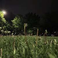 State urges Utahns to avoid watering until May, report misuse