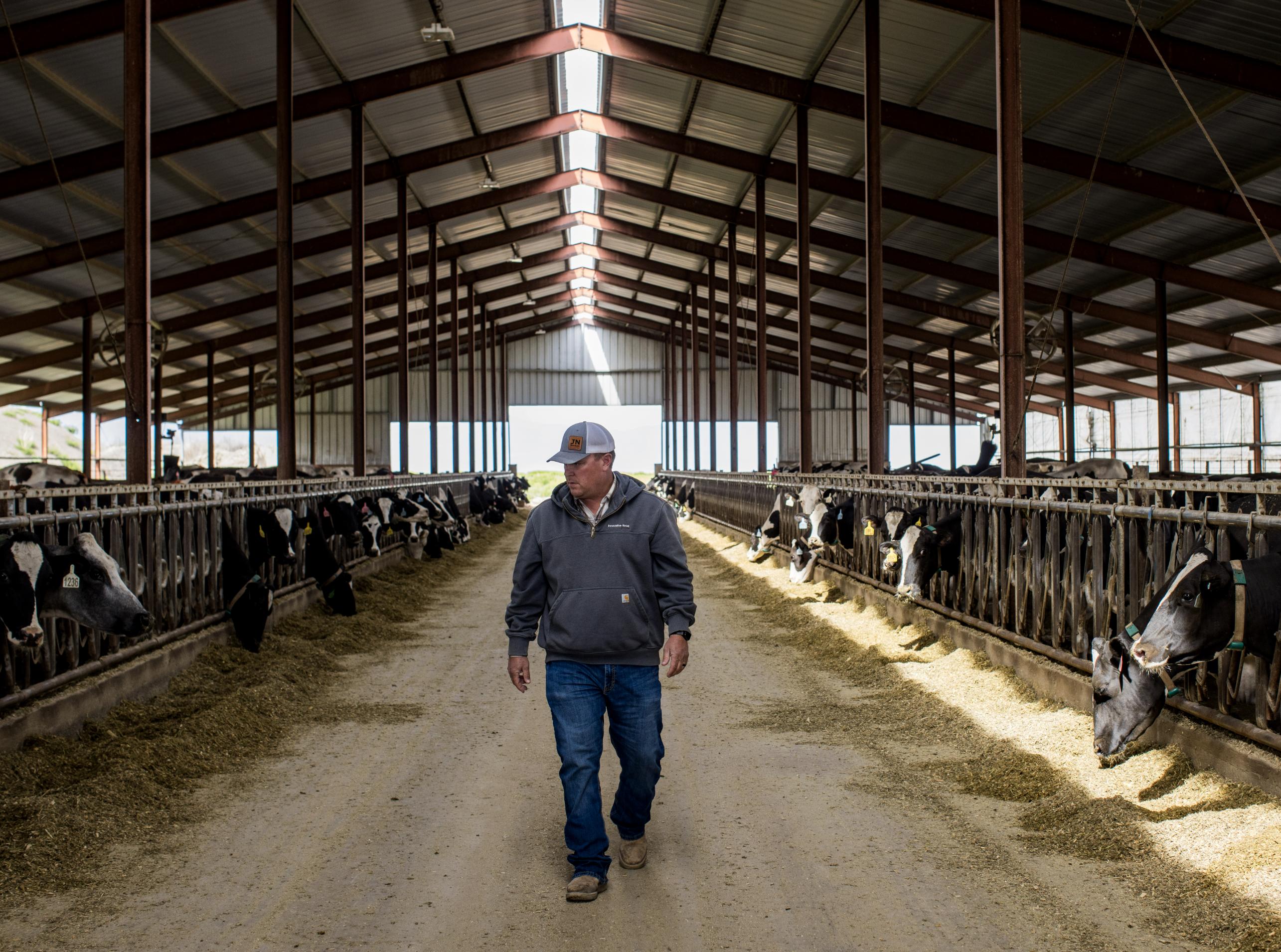 Saving every drop: Inside a dairy farm's approach to water use