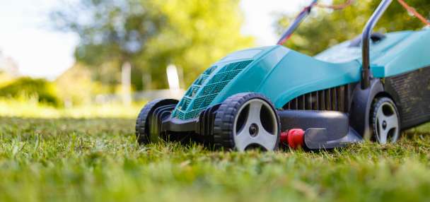 Salt Lake City brings back popular landscaping exchange program