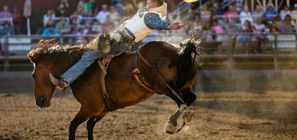 Grantsville moves forward with plans to bring back its city rodeo