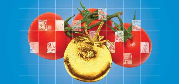 Tomatoes are having a moment. You might not like the reason