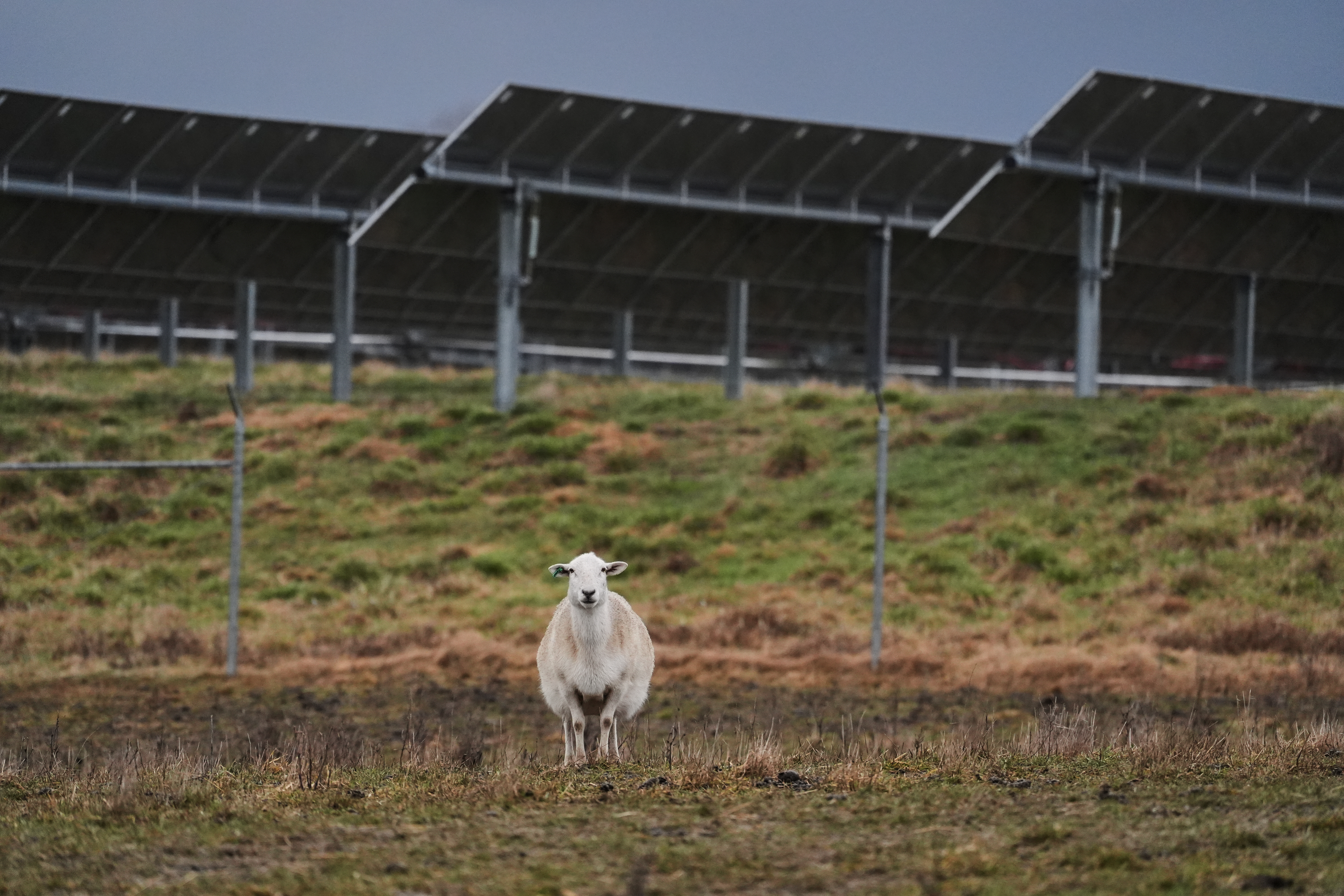 Top U.S. story anchor