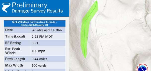 Rare tornado snapped trees after touching down in northern Utah, report finds