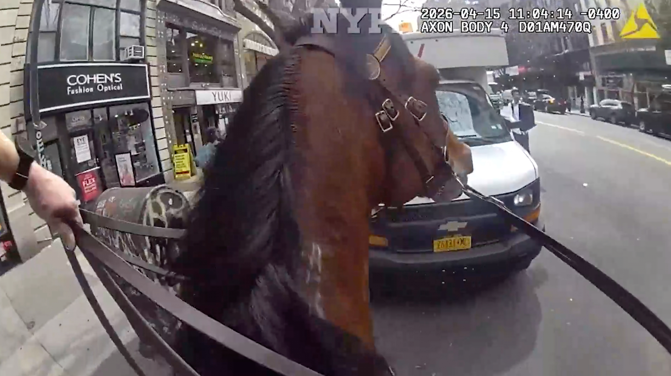 Mounted New York police officer and his horse corner suspected purse snatcher in Manhattan